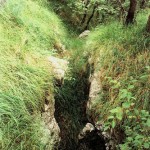 Image1a