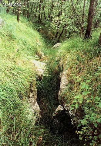 Fig. 2 - Resti di trincea e di caverne austriache sul fronte isontino