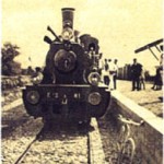 fvs1