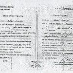 bosi_luigi_lasciapassare
