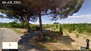Il podere "Monte" oggi, visto dalla via Torretta (immagine da google street view)