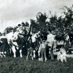 famiglia_montanari_vendemmia