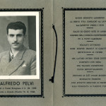 pelvi_alfredo