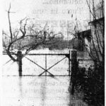 alluvione_1959_corriere